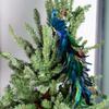 2Pcs Artificial Natural Feathered Peacocks with Long Tail Designs Christmas Tree Clip on Ornaments for Home Party Decor