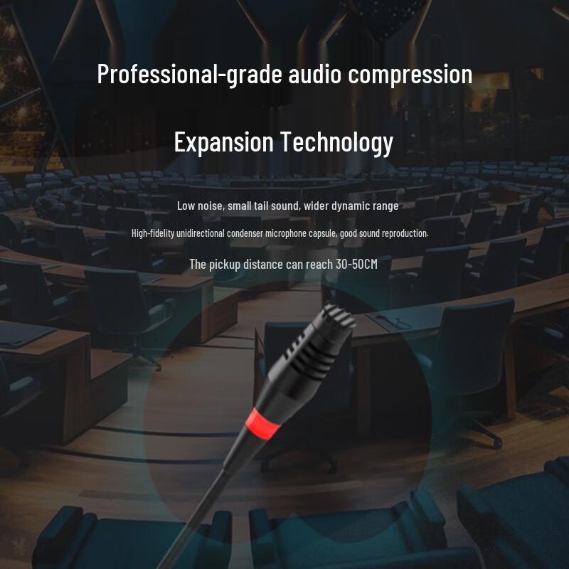 Runpu RP-SU28D Wireless UHF Gooseneck Conference Microphone System (CN version)