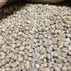 Matsuya Coffee Green Coffee Beans Brazil Santos Peaberry [Boxed] (5kg Box)