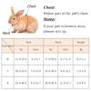 Cute Rabbit Ferrets Cat Harness with Angel Wings Walking Pet Leash for Small Animals Bunny Totoro Guinea Pig Conejos Accesorios