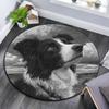 Border Collie Round Area Rug,Carpet Rug for Living Room Bedroom Sofa Playroom Decor,Non-slip Floor Mat