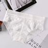 Women's Lace Panties Comfort Underwear Daisy Print Lace Briefs