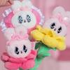 TOYZERO+ Плюшевая игрушка Esther Bunny Цветок Blind Box Мягкие игрушки (Набор из 6 предметов)