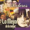CD VARIOUS - Boleros: Lo Mejor De Lo Mejor  74321621652 US Latin Used