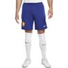 Nike Повседневные шорты мужские королевский синий средние DH6471-455
