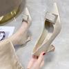 Women Heels Shoes Wedding Shoes Pointed Toe Women Shoes Elegant Office Shoes Women Pumps Women Classic Pumps High Heels 6.5cm