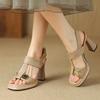 Fashion Women's Fashion Sandals Metal Decoration One-line Buckle Square Heel Shoes Women Dress 2025 French Square Toe Sandalias De Mujer