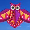 Long Tail Colored Owl Kite Easy To Fly Plastic Flying Toy New Children's Kite  Outdoor Sports