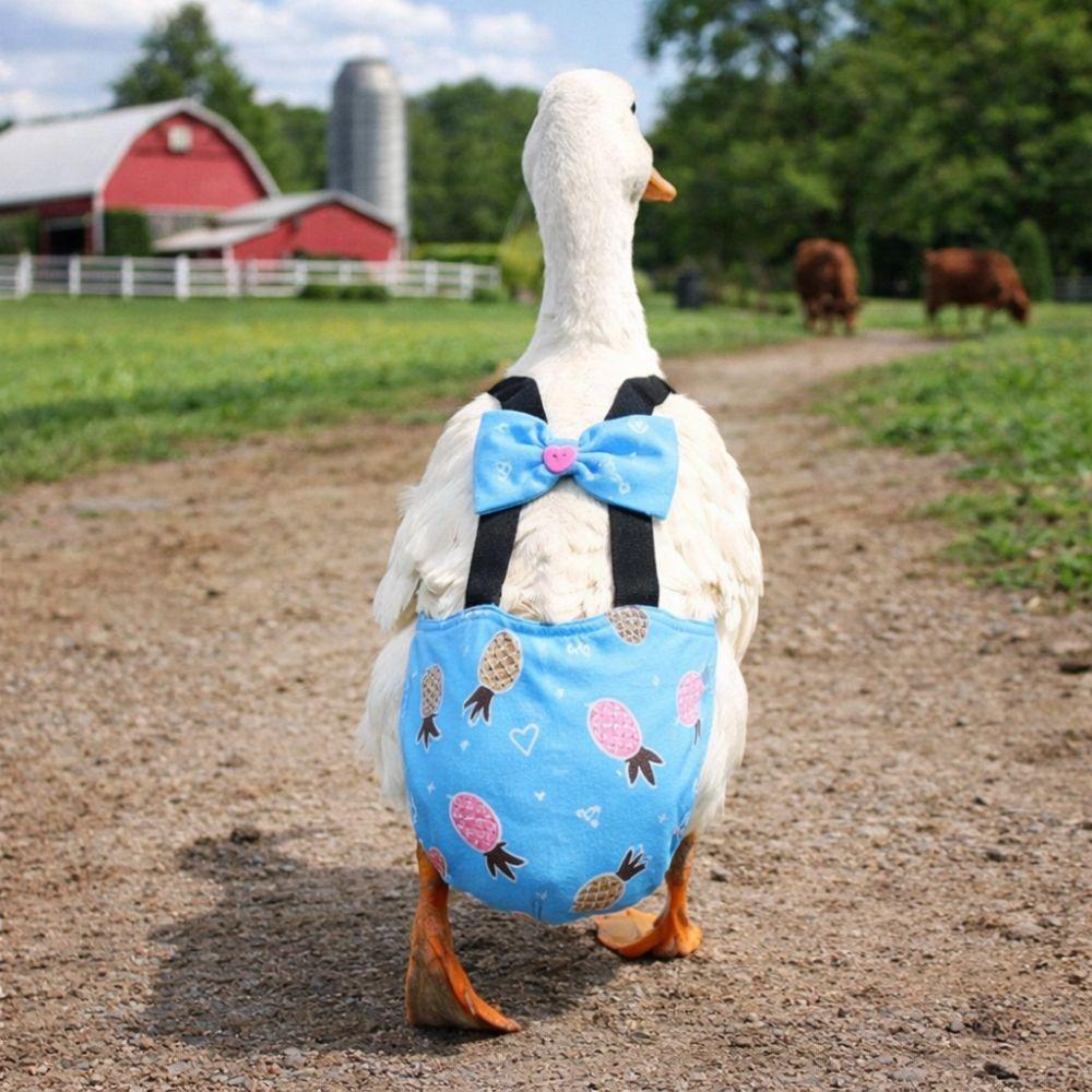 Elastic Band Chicken Physiological Pants Adjustable Poultry Nappy Poultry Costume Goose Duck
