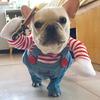Halloween Funny Dog Costum Dressed Up for Small Medium Dogs Cats Puppy Cosplay Party French Bulldog Chihuahua Pet Clothing Hot