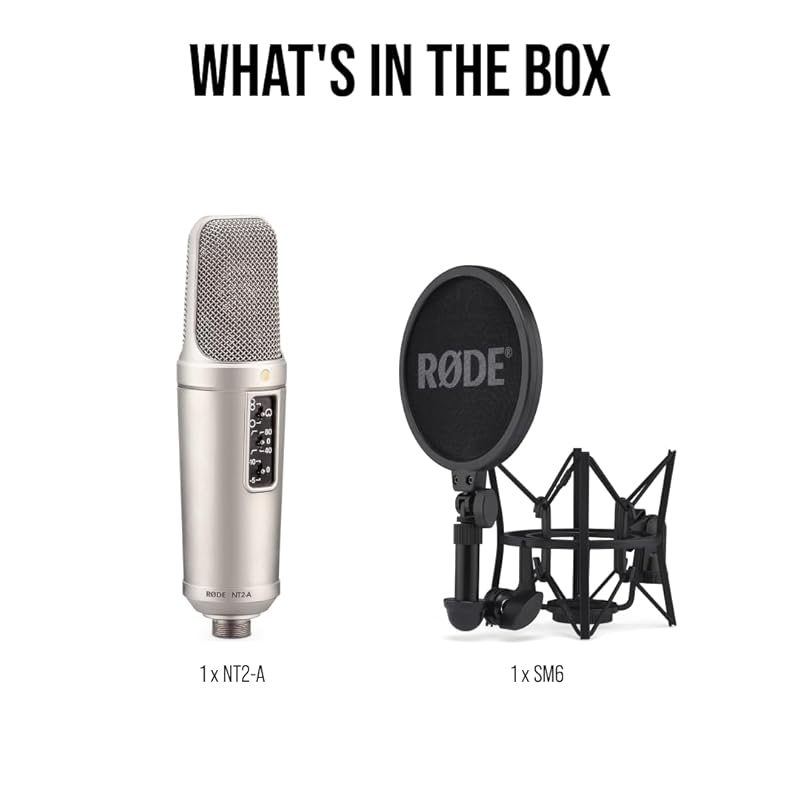 RODE Микрофоны дорожные микрофоны NT2-A конденсаторный микрофон NT2A