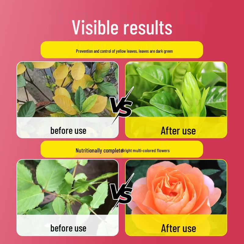 Порошок для быстрого цветения: Универсальный стимулятор цветения для бугенвиллии, камелии, жасмина и горшечных растений