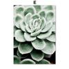 White Tulip Succulents Monstera Plant Wall Art Canvas Painting Nordic Posters And Prints Wall Pictures For Living Room Decor