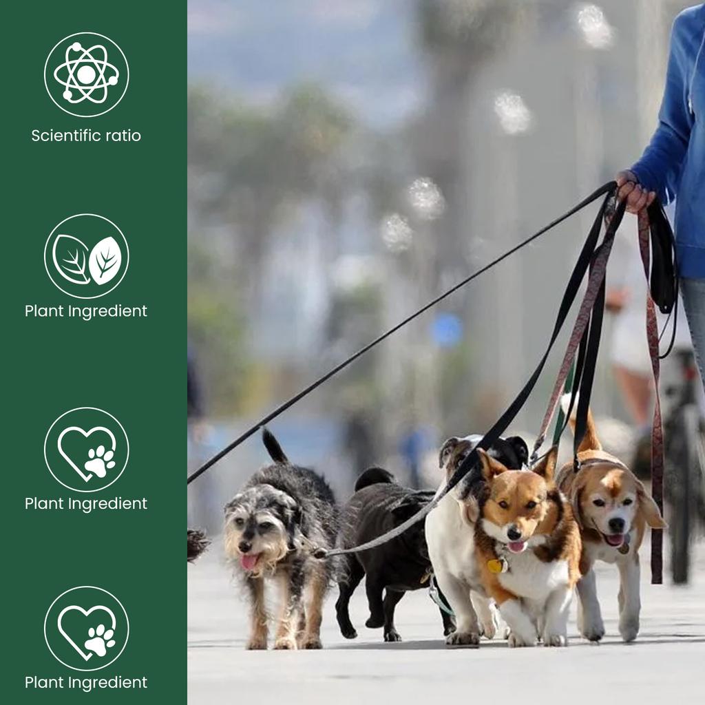 YEGBONG Small Dog Dropper Chondroitin, Puppies and Senior Canines Joint Health, Dog Vitamins Hip Joint Juice, Dog Joint Oil