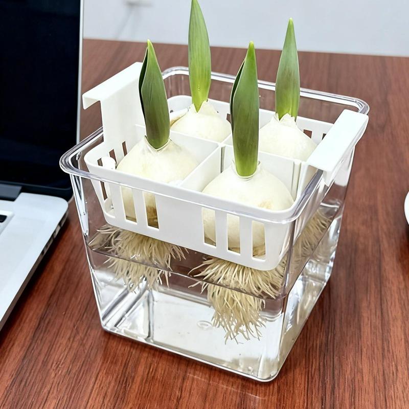 Hydroponic Containers with Breathable Support Basket Tulip Seed Hydroponic Flowerpot 4 Holes Soilless Flower Pot Home Decoration