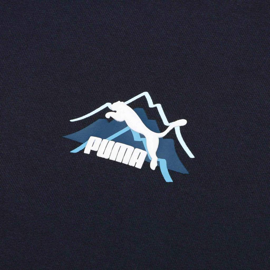 Puma Свитшот с капюшоном и длинным рукавом, с принтом логотипа, мужской свитшот, фиолетовый 537392-43