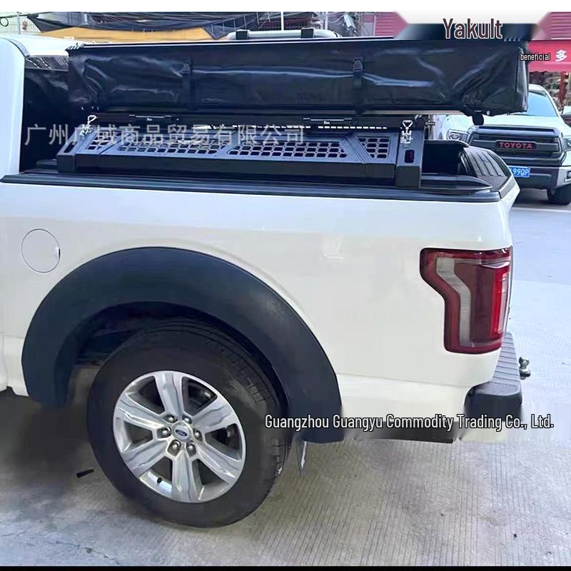 2018-20 Ford F150 Raptor-Style Wide Fender Flares with Lights & Sand/Stone Guards