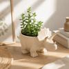 Desktop Decoration Dinosaur Flowerpot Funny Plant Planting Pot Creative Small Storage  Office