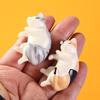 6pcs Dollhouse Room Home Decor Items Desk Accessories  Kawaii Resin Mini Sleeping Cat Mini Figures Miniature Things Statues