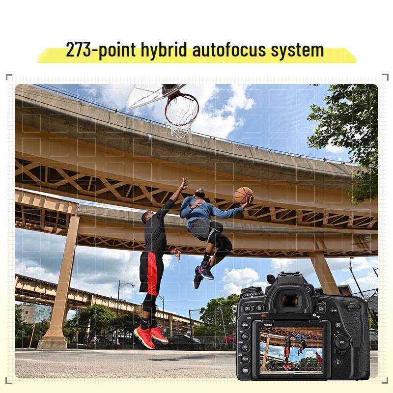 Nikon D780 Full-Frame DSLR Camera (CN version)