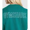 Gymshark Trace Graphic Oversized T shirT funcTional Teal B4b3p TbTr