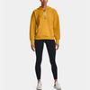 Under Armour Summit Logo Solid Color Hooded Loose Training Sweatshirt Women Tops Gold 1374466-588