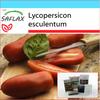 Подарочный набор - Помидоры - Сан Марцано - 10 семян - С подарочной коробкой, карточкой, этикеткой и субстратом для горшков - Lycopersicon esculentum