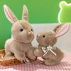 Новый мультфильм сопоставимый кролик кукла плюшевая игрушка кукла машина для ловли кукла милый маленький кролик детский подарок