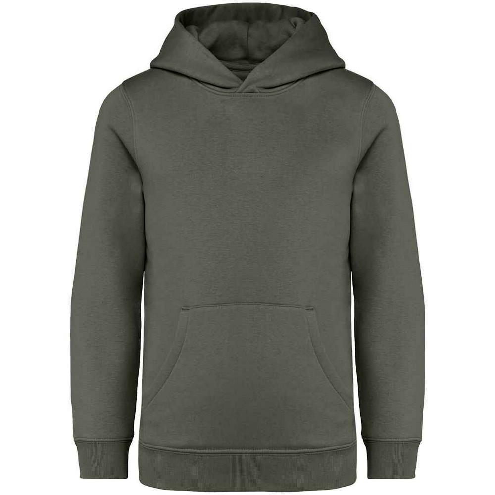 Детская/детская толстовка с капюшоном Native Spirit