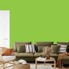 Wallpaper Solid Lime Backgrounds, Lime Background for Living Room and Bedroom 50x1000