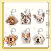 Samoyed Labrador Puppy Pendant Husky Acrylic Corgi Keyring Border Collie Dog Keychain  Unisex