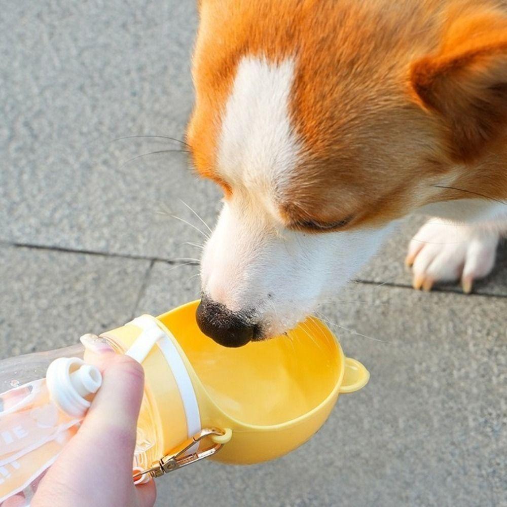 Leak-proof 2 in 1 Dog Water Bottle Cute Bear Pet Drinking Bowl Puppy Feeder Cup Travel