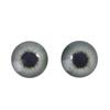 20Pcs Glass Doll Eyes Animal DIY Crafts Eyeballs For Dinosaur Eye Accessories Jewelry Making