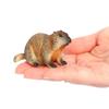 Фигурка дикого животного Marmot Реалистичное искусственное украшение ПВХ Украшение для дома Животное Украшение для дома
