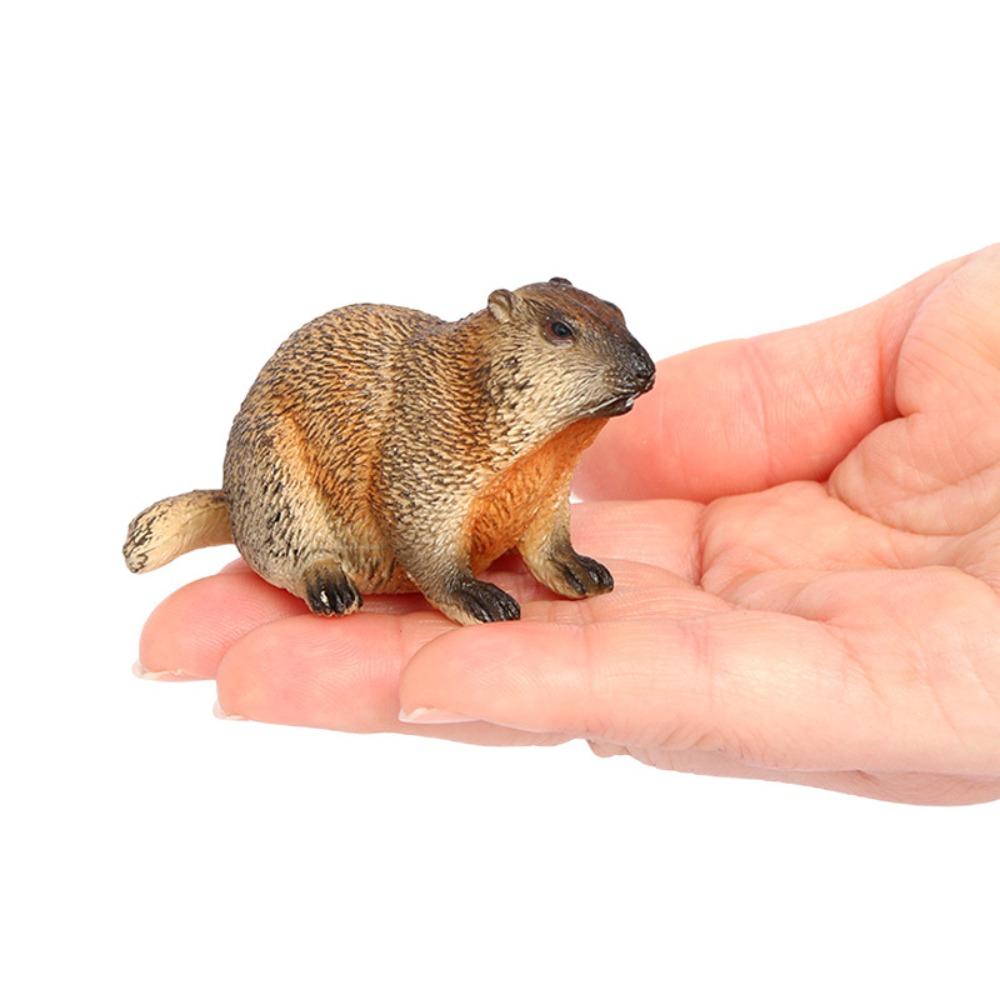 Фигурка дикого животного Marmot Реалистичное искусственное украшение ПВХ Украшение для дома Животное Украшение для дома