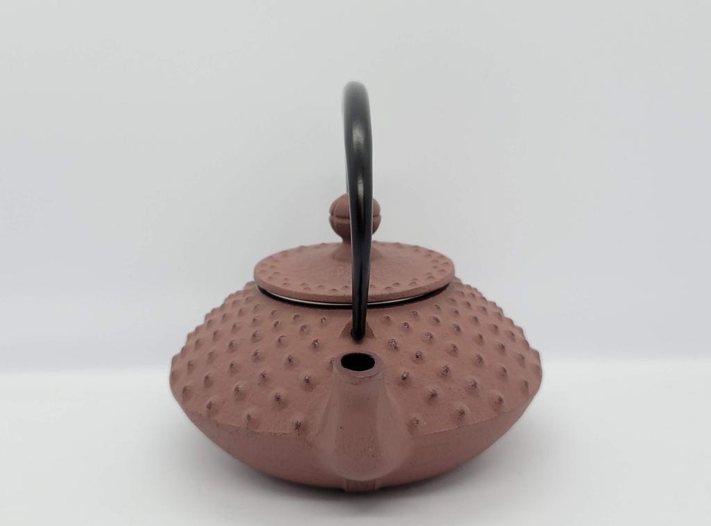 Чайник Iwachu 3 типа плоский Arale шоколадный эмалированный внутри Nambu Ironware 12141 0,35 л