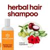 Sanatana Herbals Травяной шампунь для волос - Питает кожу головы и волосы, Восстанавливает поврежденные пряди, Способствует здоровому росту волос, Без парабенов, Без сульфатов