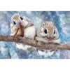 [Сделано в Японии] Пазл Beverly из 300 деталей Белки (26 х 38 см) 300-102