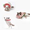 Anti-licking Fruit Shape Kitty Recovery Collar Soft Dog Protective Neck Cone  Stop Licking