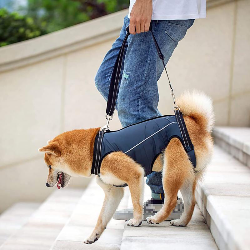 Dog Sling Pet Support Rehabilitation Sling Suitable For Elderly Disabled Joint Injury Arthritis Dog Walking Sling