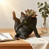 5/8-Inch Grooming Cat Planter Pot Playing Ball Cat Succulents Herb