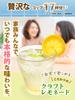 Daichi no Takara Lemonade Setouchi Lemons Hokkaido Beet Sugar 600g Refreshing No Dilution Preservative-Free Lemon