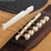 1 Set Bone Bridge Pins Nail Nut Saddle Part for Acoustic Folk Guitar
