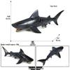 tiger shark