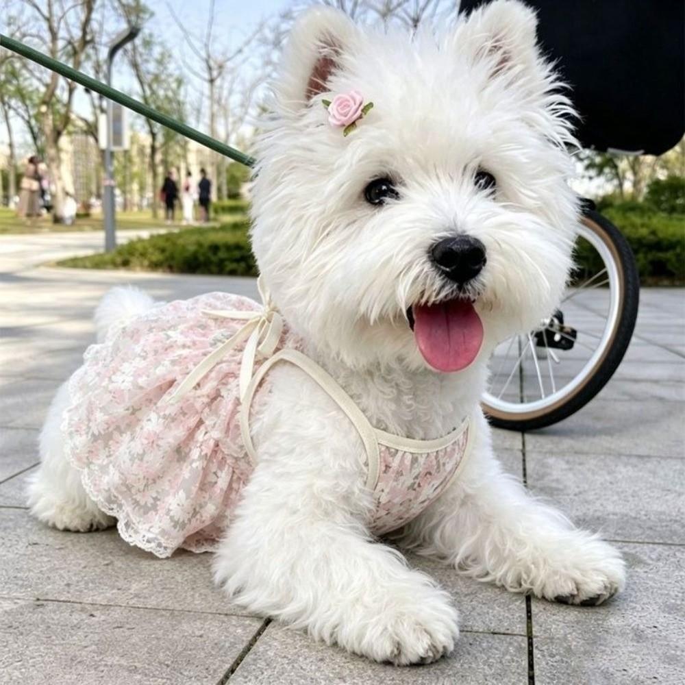 Lightweight Dog Dress Comfortable Breathable Dog Skirt New Puppy Dress Puppies