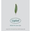 HOLIKA HOLIKA - Liplief Glowy Lip Oil