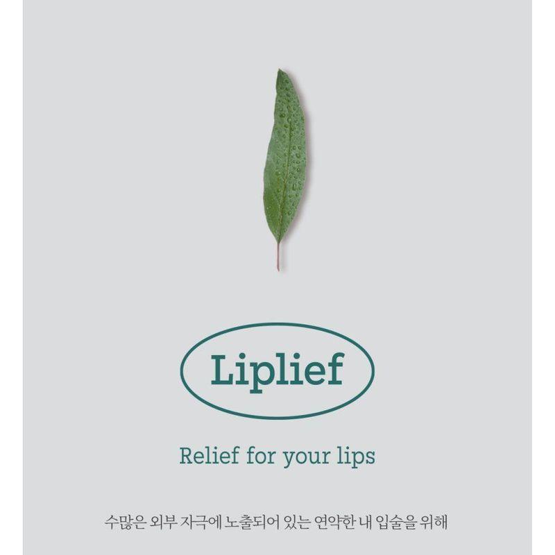 HOLIKA HOLIKA - Liplief Glowy Lip Oil
