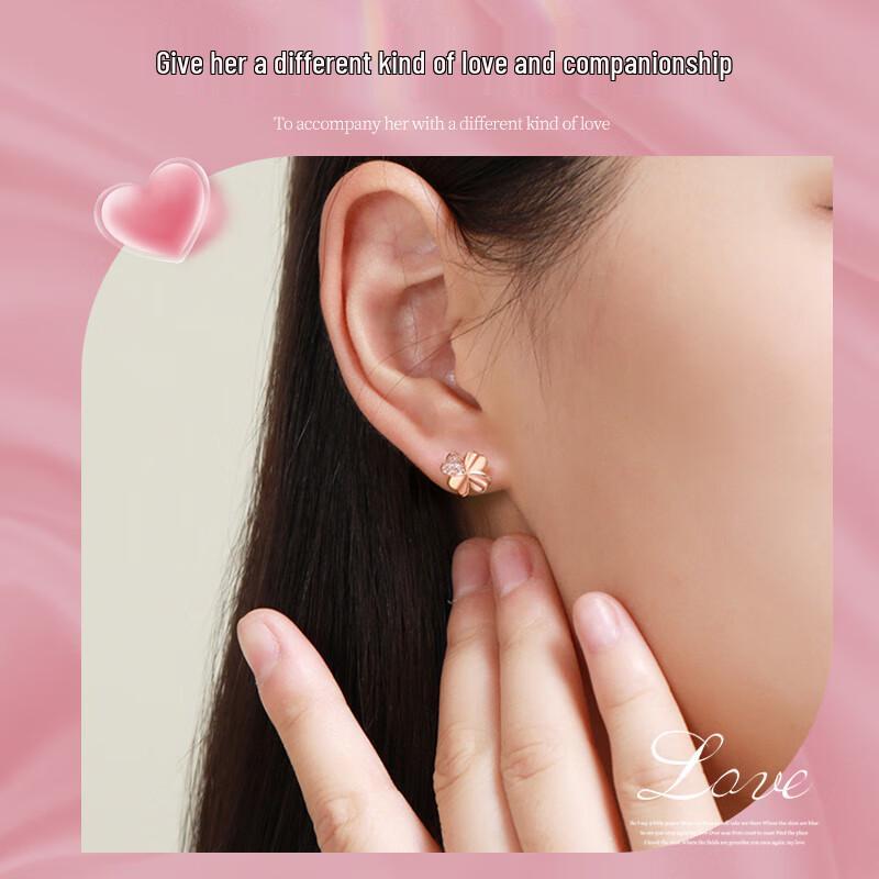 Everlasting Rose & 999 Silver Earring Gift Set
