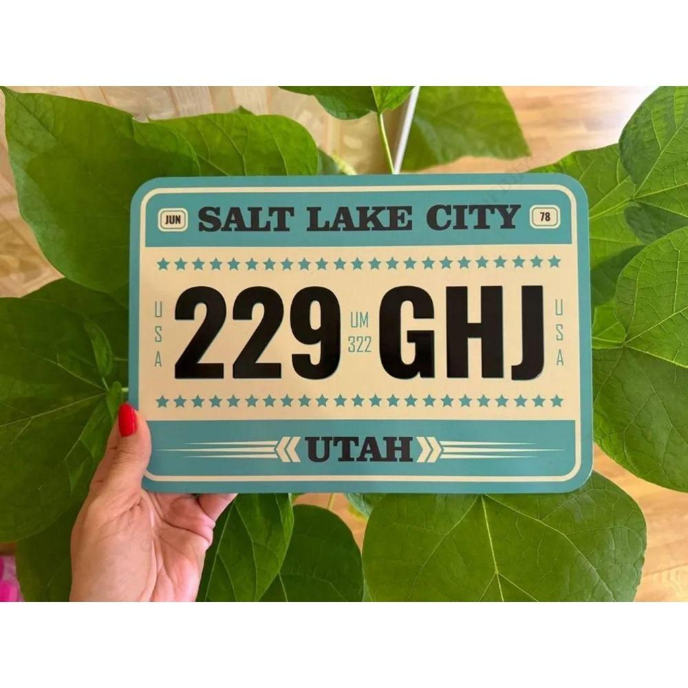 U.S. License Plate, U.S. Car License Plate, Metal, 15x30 Cm.