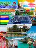 Книга INVEST IN MAURITIUS - Visit Mauritius - Celso Salles : Invest In Africa Collection